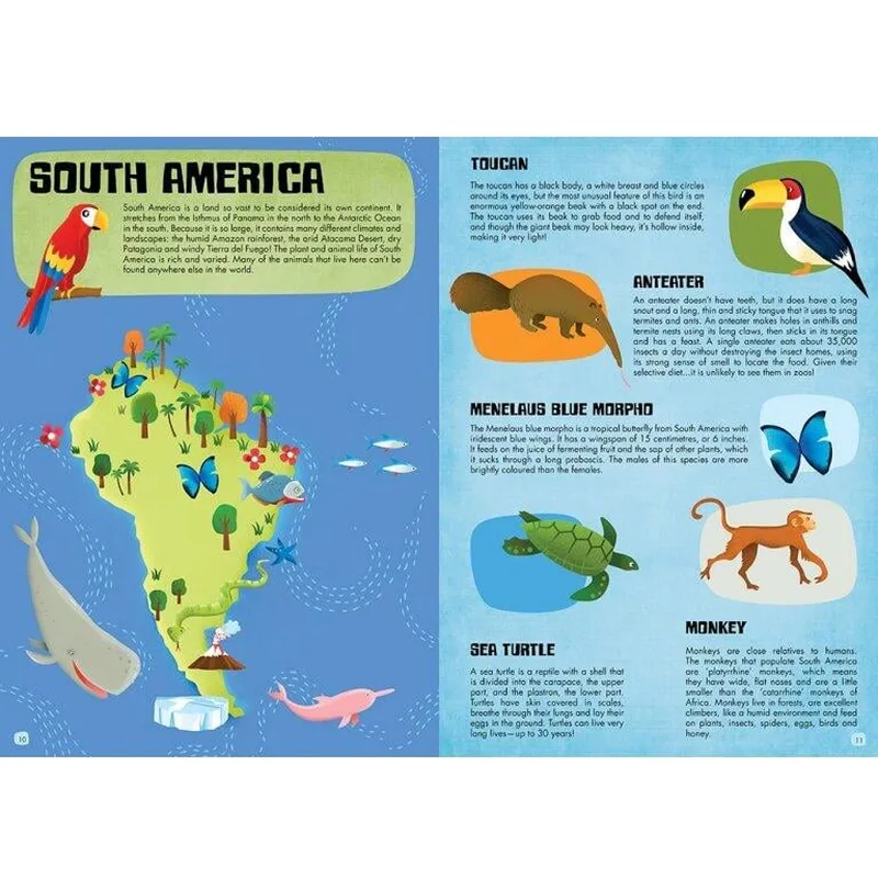 Cunoaste si exploreaza - Lumea animalelor [4]