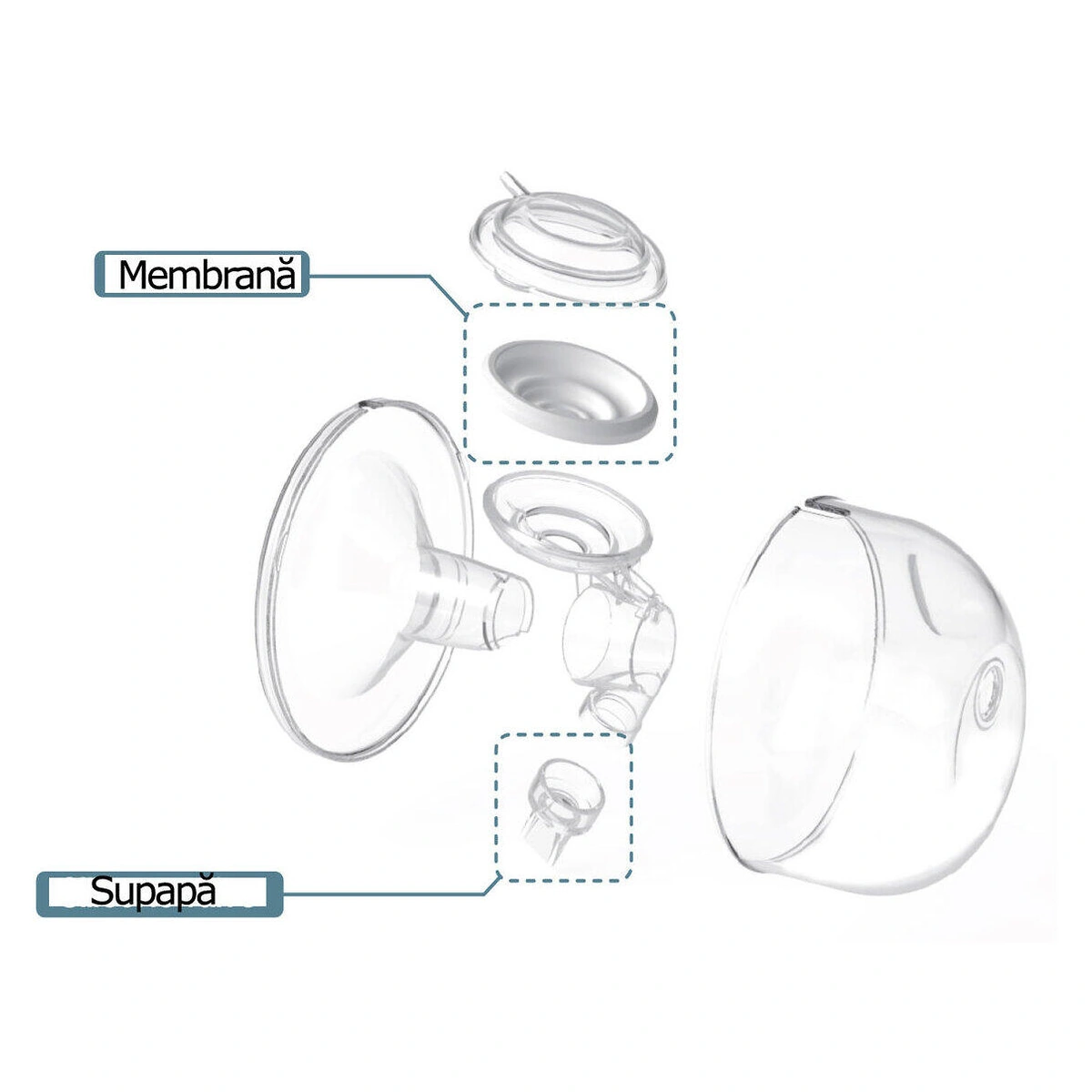 Cupa san Hands Free (rezerva) - 24 mm [2]