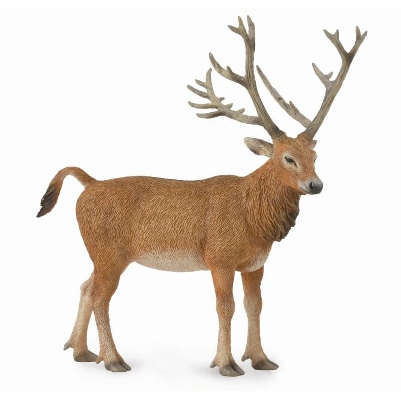 Figurina Cerb Pere David L [1]