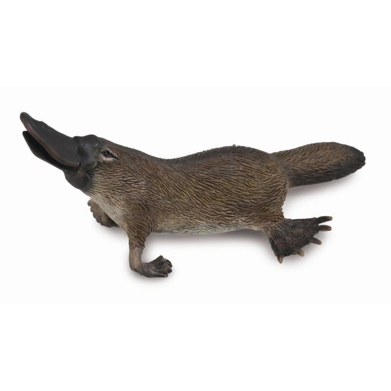 Figurina Platypus M [1]