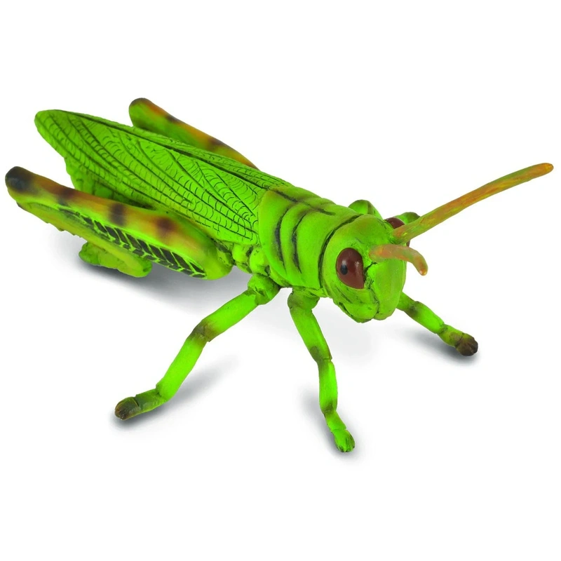 Figurine Lacusta [1]