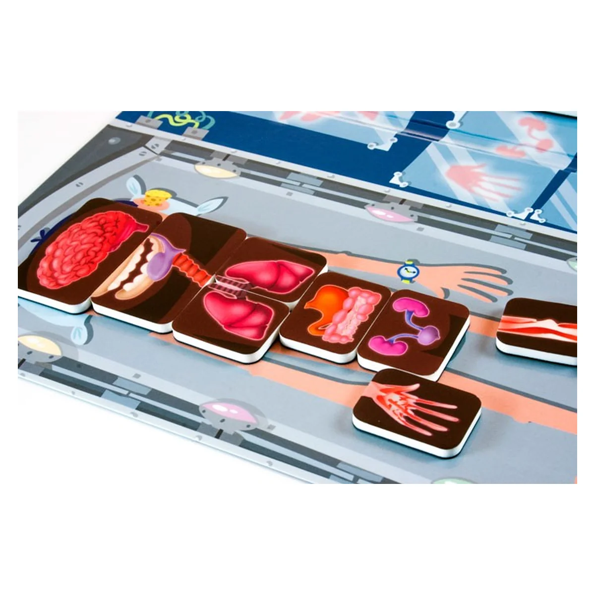 Joc magnetic Descopera corpul uman - Miniland [5]