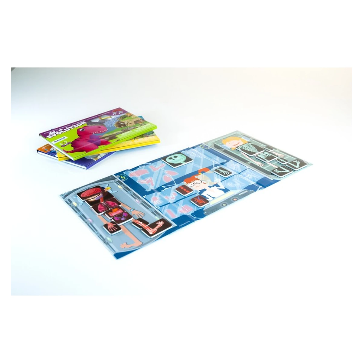 Joc magnetic Descopera corpul uman - Miniland [2]