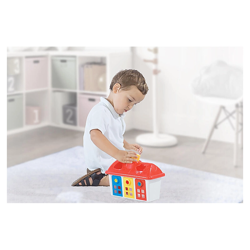 Joc sortare - Casuta colorata cu chei [3]