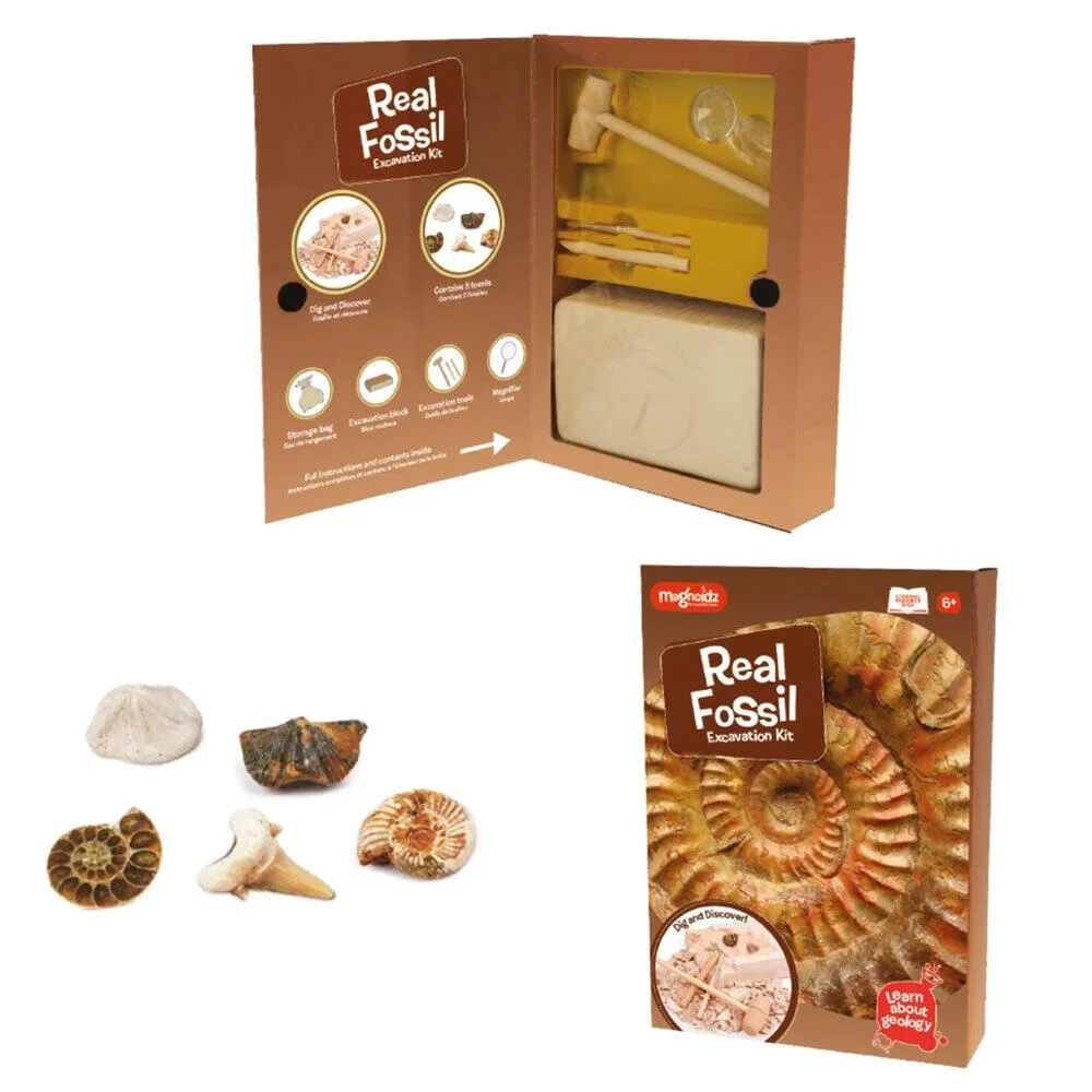 Kit paleontologie - Descopera fosile [1]