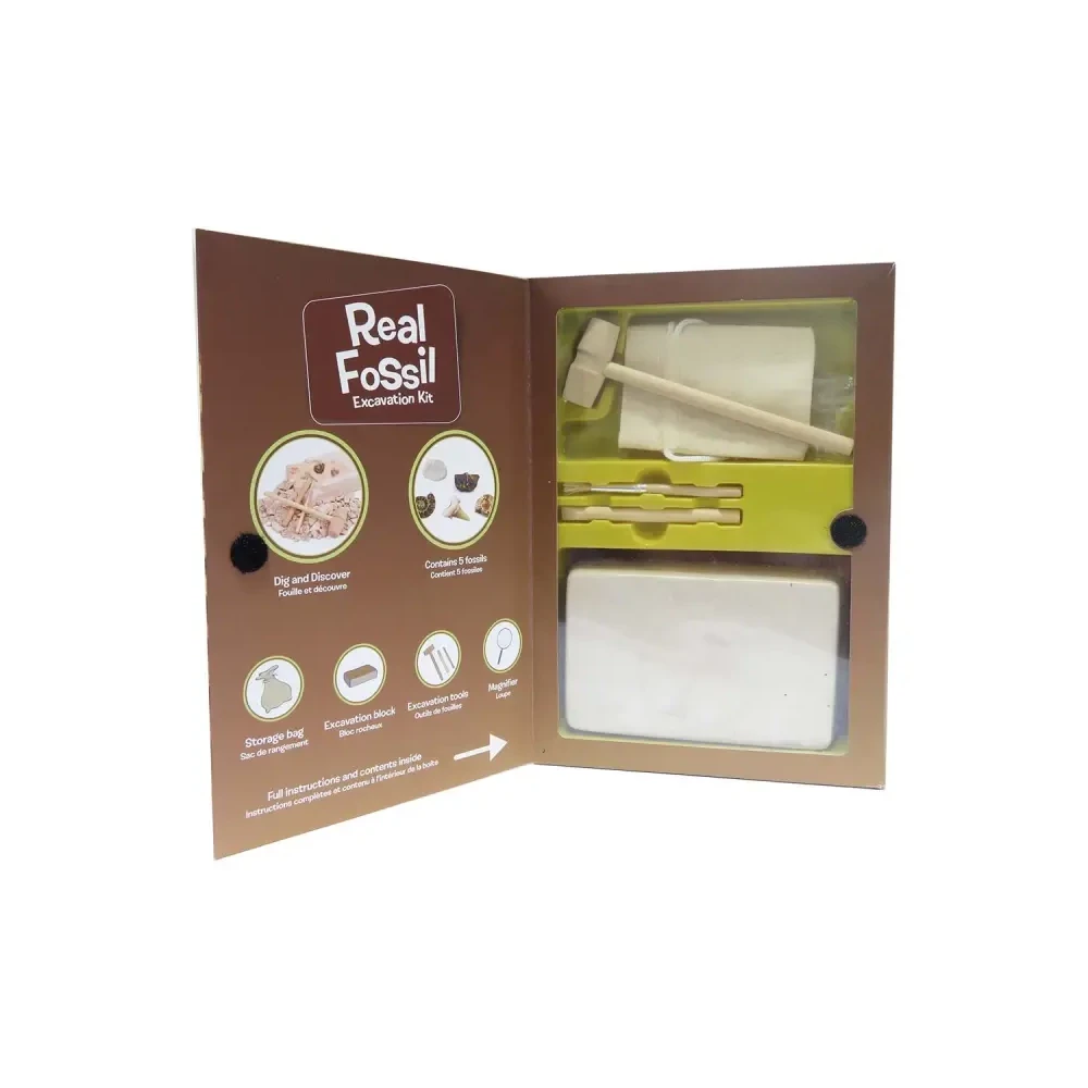 Kit paleontologie - Descopera fosile [4]