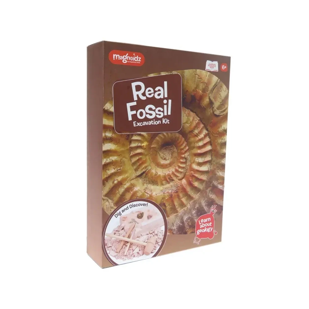 Kit paleontologie - Descopera fosile [3]