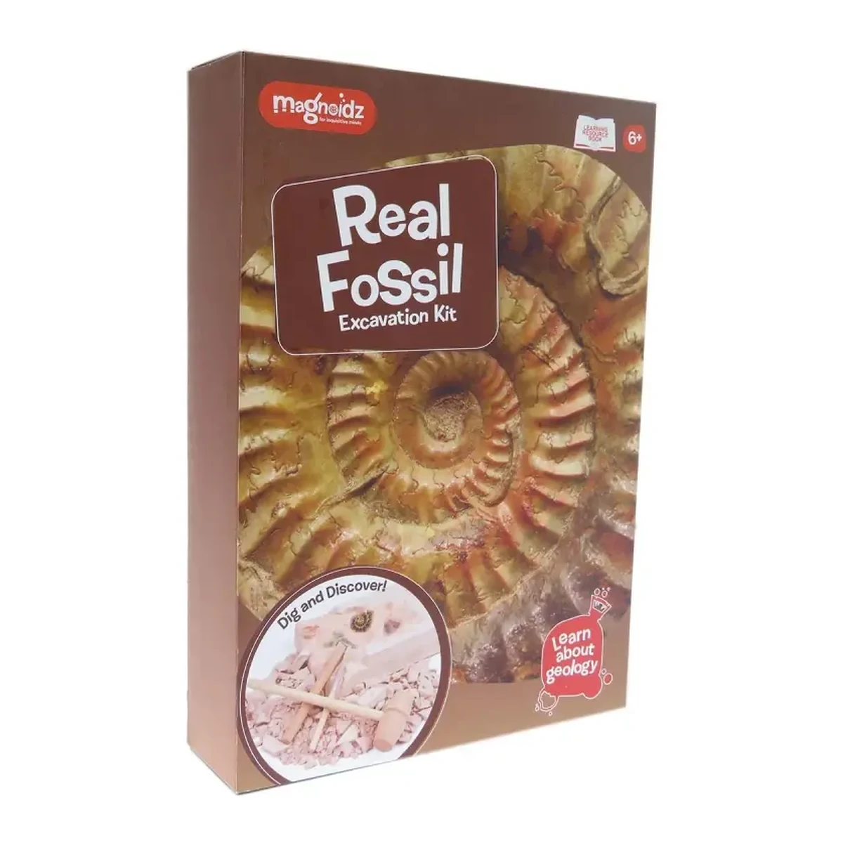 Kit paleontologie - Descopera fosile [3]