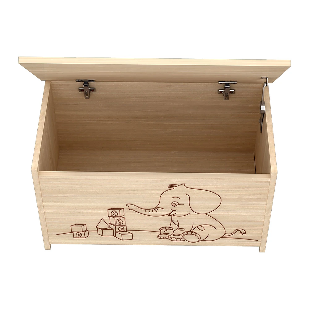 Lada de depozitare Eva natur [3]