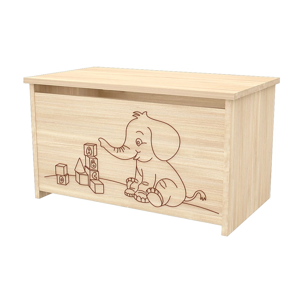 Lada de depozitare Eva natur [1]