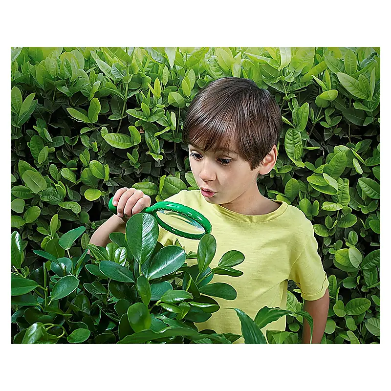 Lupa exploratorului [3]