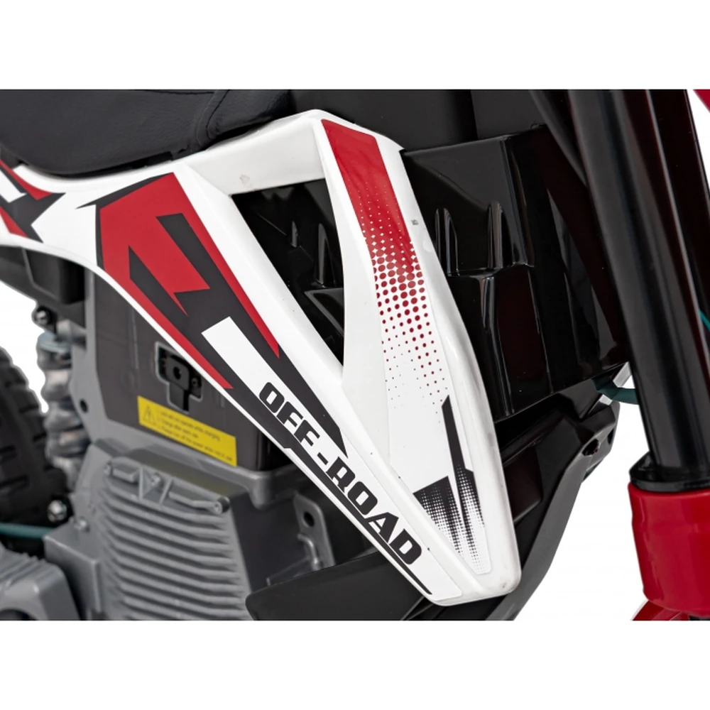 Motocicleta electrica PANTONE 361C, roti EVA + 2 roti ajutatoare, scaun tapitat, 108x59x72 cm, putere 60W - Rosu [18]