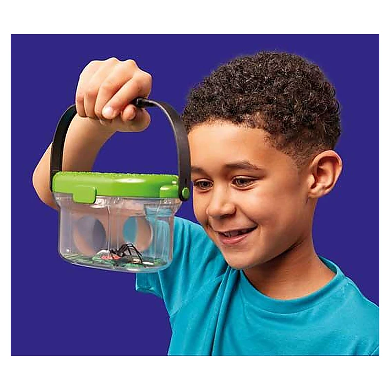 Observatorul pentru insecte [5]