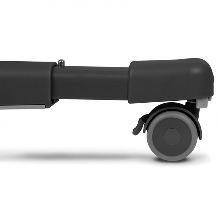 Patut co-sleeper, Lionelo, Aurora, 3 in 1, functie leganare, Include saltea si geanta transport, 5 pozitii pe inaltime, Pana la 9 kg, Grey Graphite [19]