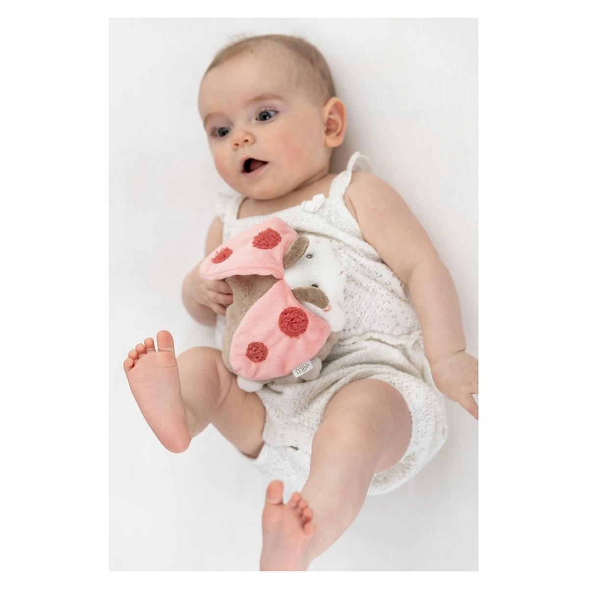 Pernuta anticolici - Gargarita [4]