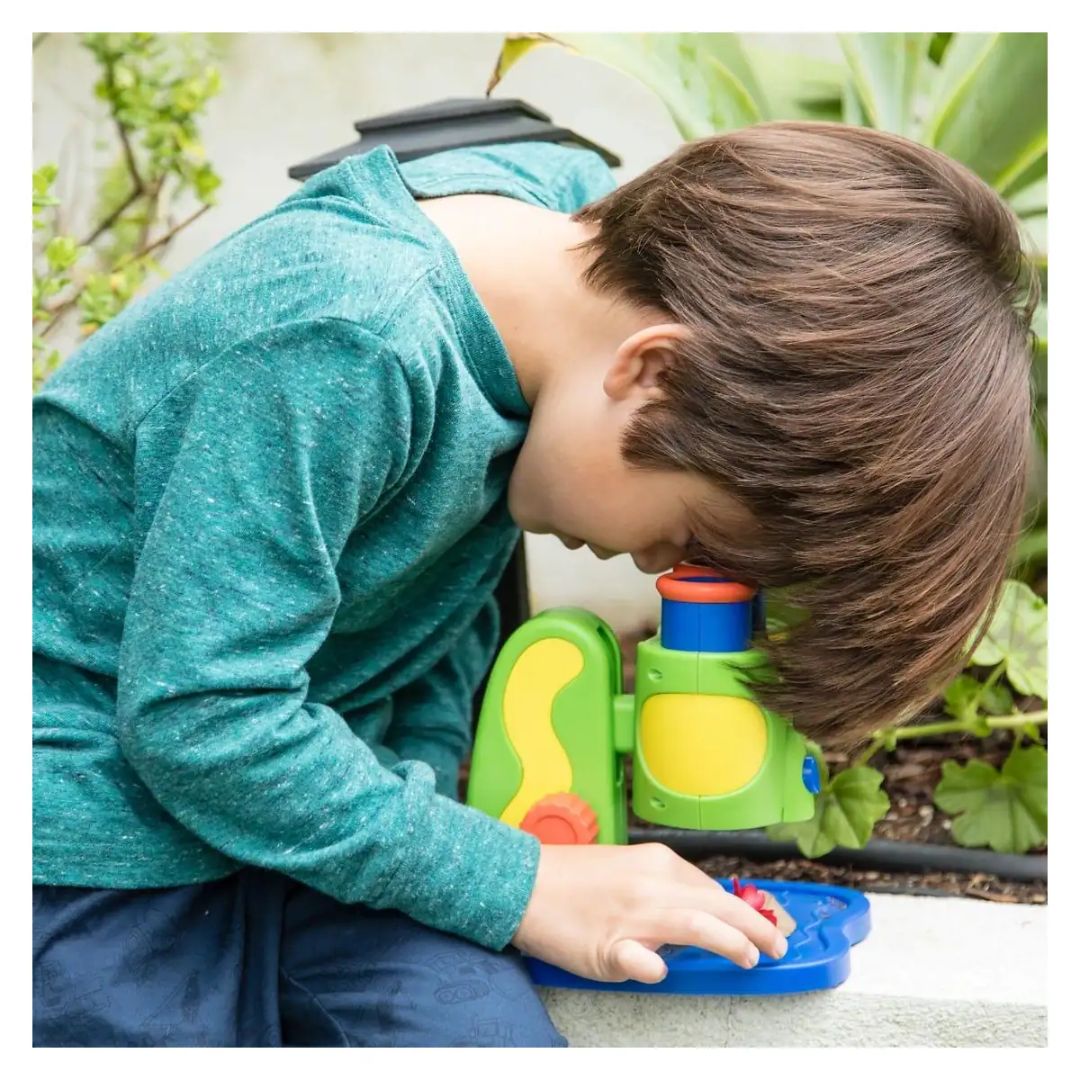 Primul meu microscop [3]