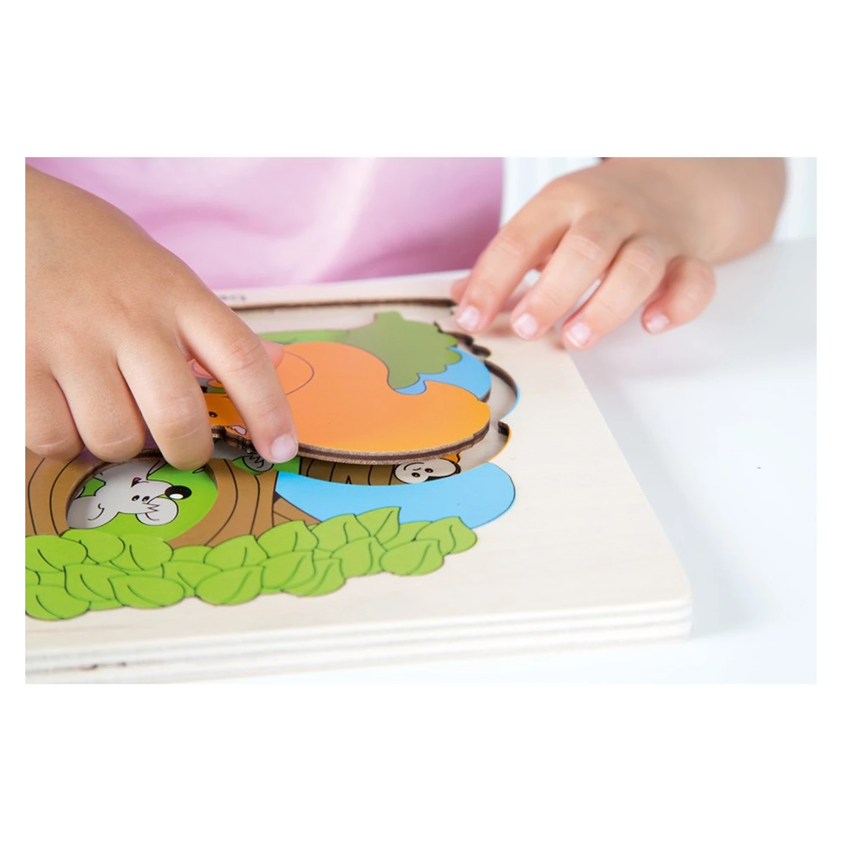 Puzzle Descopera Padurea Beleduc [3]