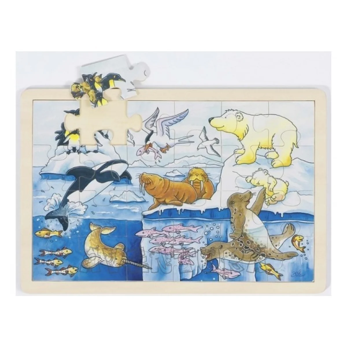 Puzzle Viata polara [2]