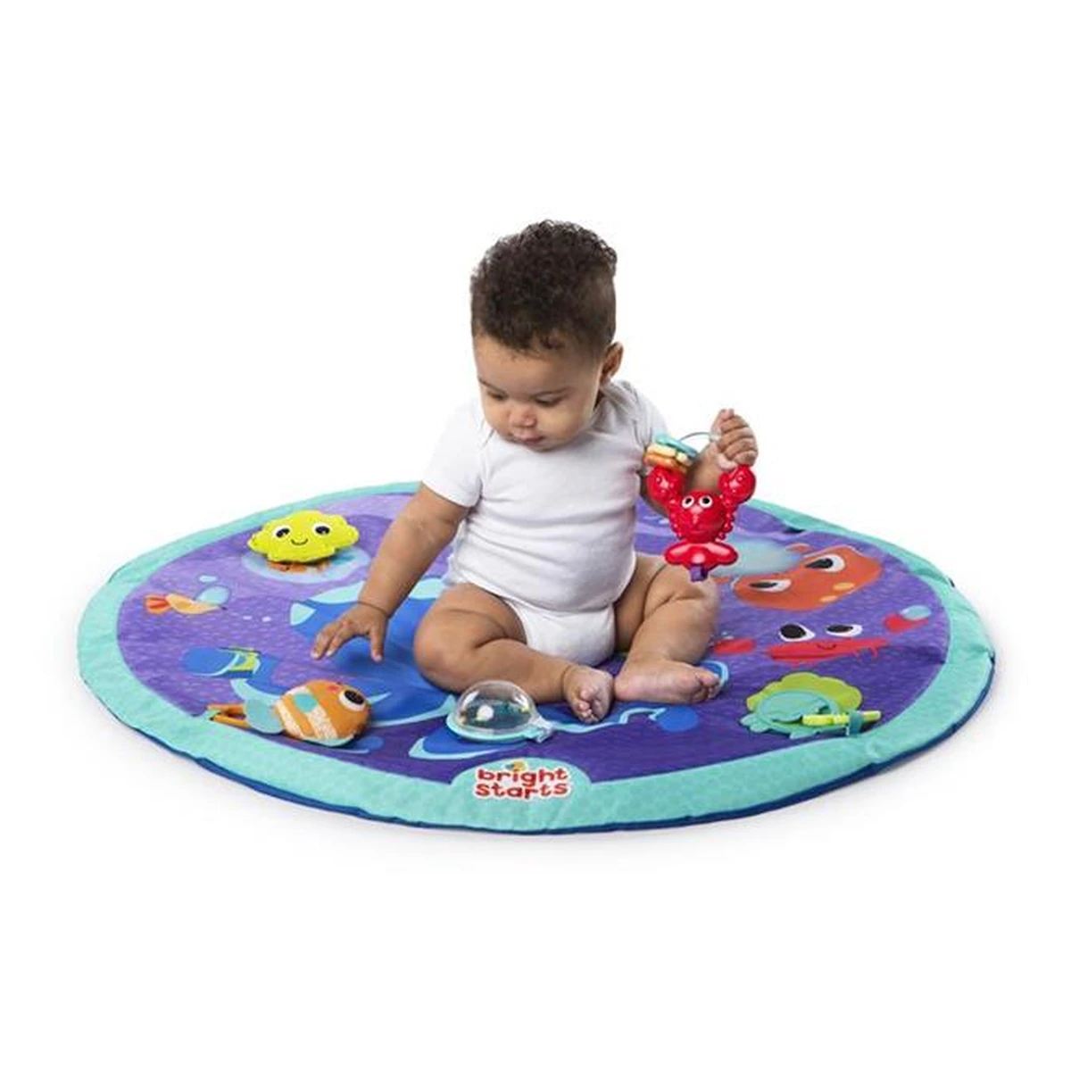 Salteluta de activitati Explore & Go Whale [7]