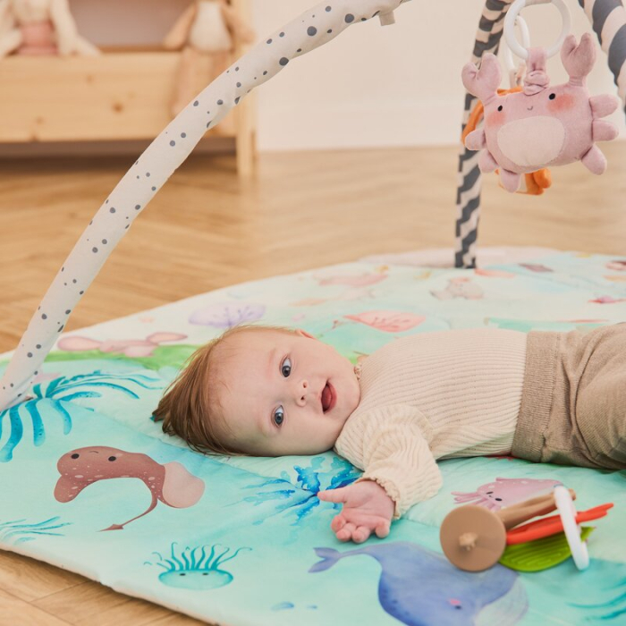 Salteluta interactiva, Lionelo, Anika, 8 jucarii senzoriale, detasabile, fosnaitoare, logopedice, Lavabila la masina, [7]