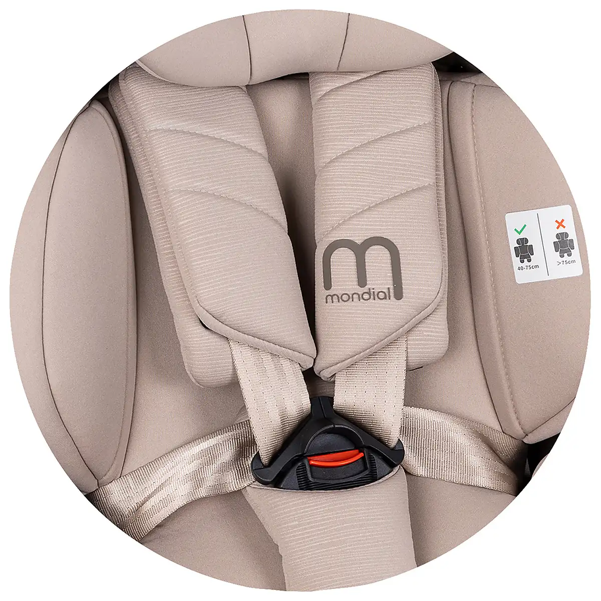 Scaun auto Chipolino Mondial I-Size 40-150 cm, Latte 12 ani [9]