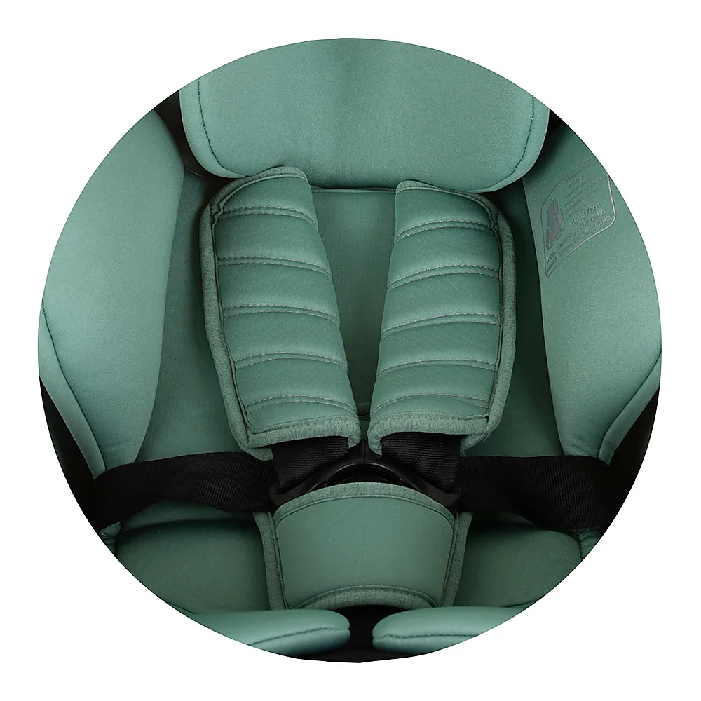 Scaun auto Chipolino Tourino Isofix Pastel green [15]