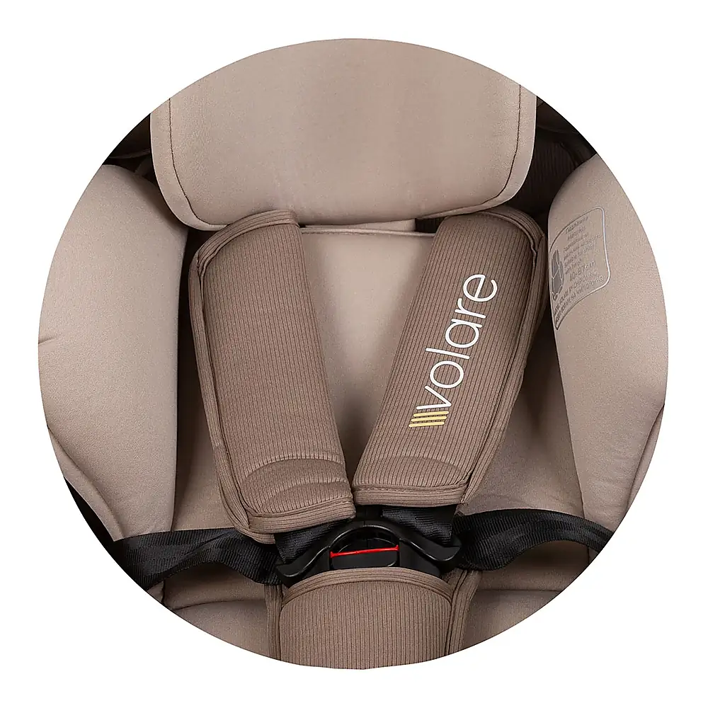 Scaun auto Chipolino Volare Isofix Macadamia [17]