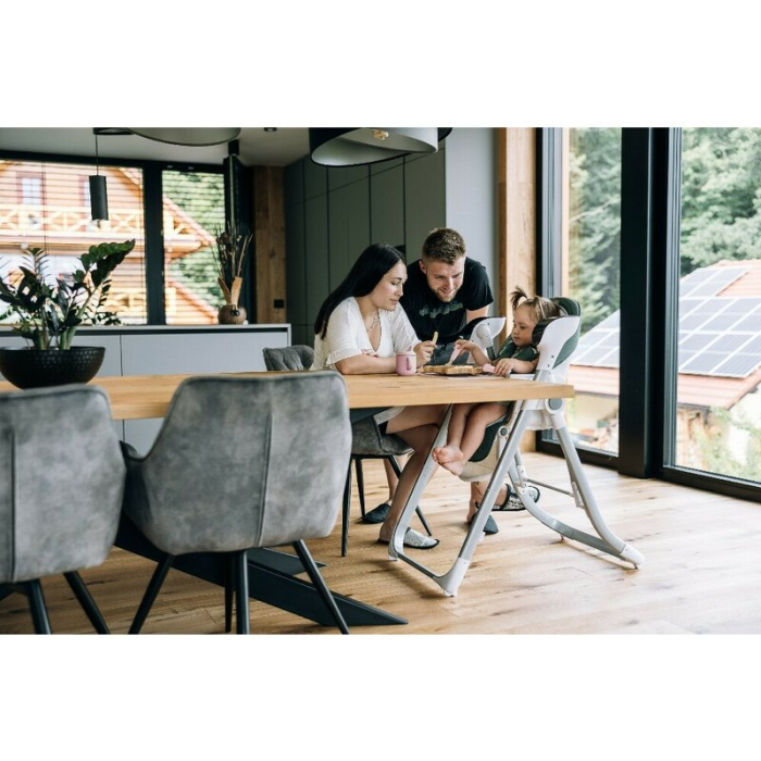 Scaun de masa si balansoar, FreeON, Oli Deluxe, 2 in 1, Transformabil, Multifunctional, Cu melodii de leagan, 0 luni+, [9]