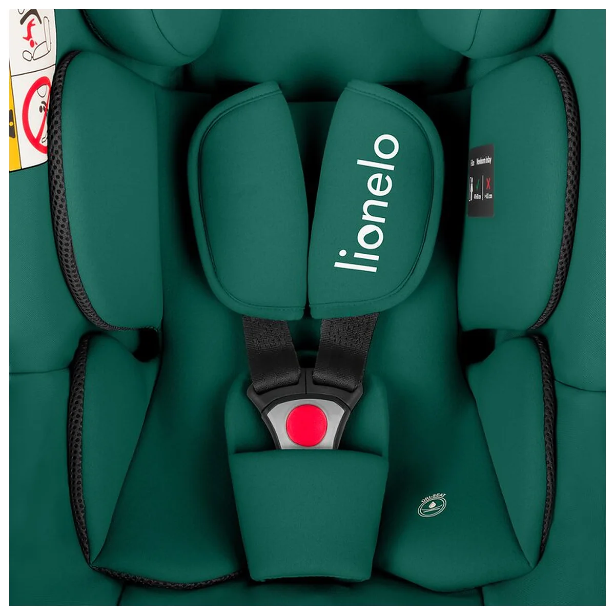 Scoica auto, Lionelo, i-Size Astrid, Include baza Isofix, 0-13 Kg, 40-87 cm, Testat ADAC, Verde [11]