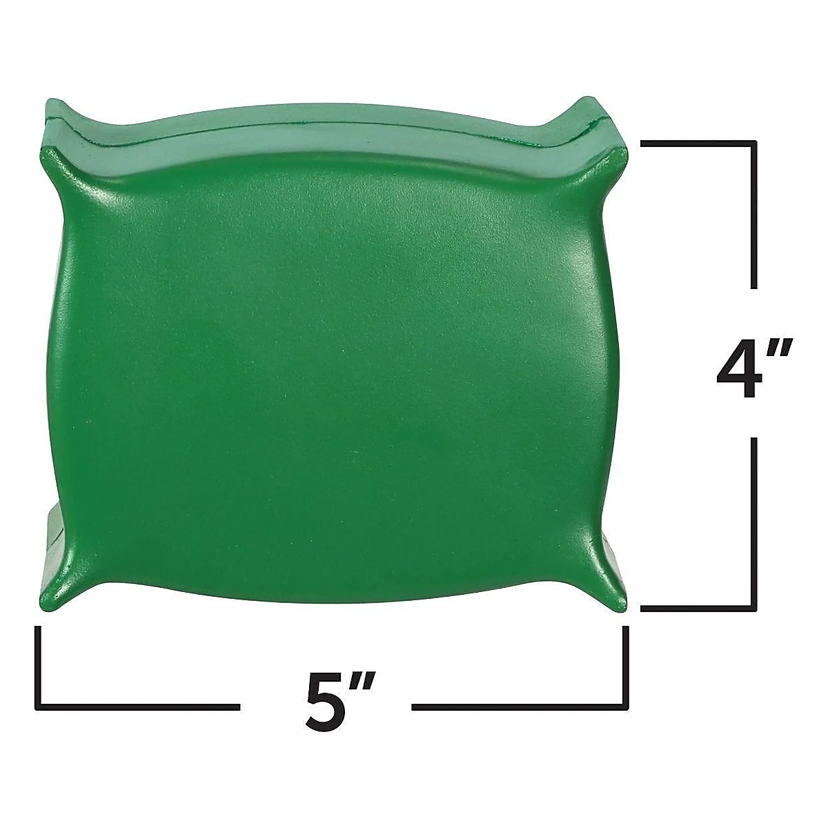 Sectiunea celulei plantei Learning Resources 14 ani [3]