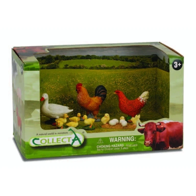 Set 5 Figurine Viata la tara [1]