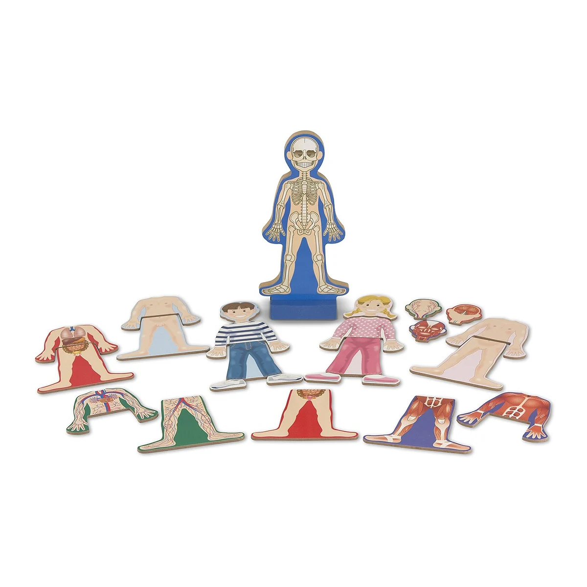 Set magnetic Corpul Uman Melissa and Doug [2]