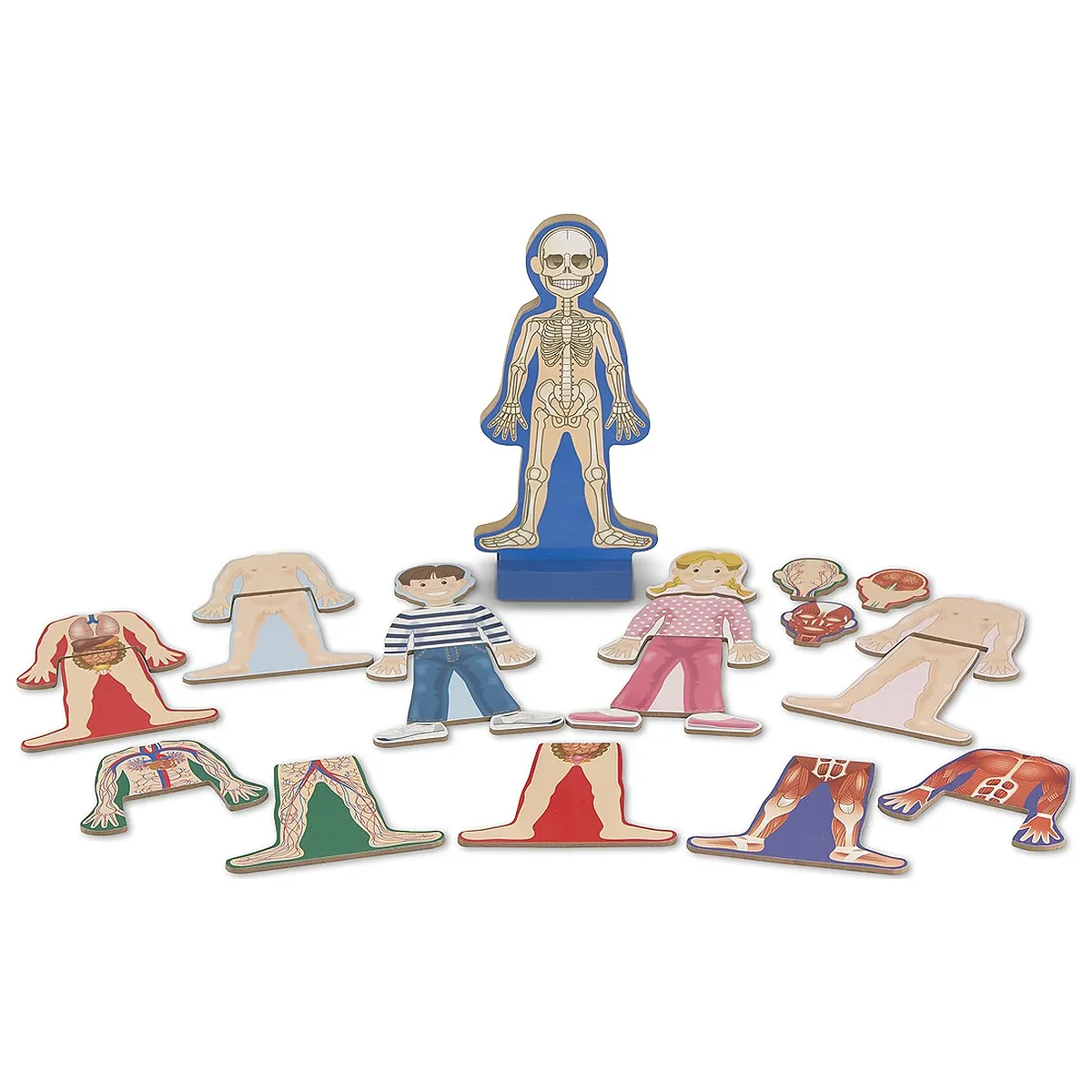 Set magnetic Corpul Uman Melissa and Doug [2]