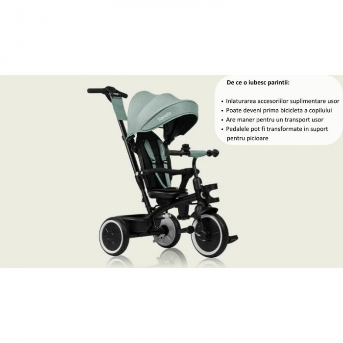 Tricicleta copii, Lionelo, Berry, 2 in 1, Multifunctionala, Scaun reversibil, Gri [32]