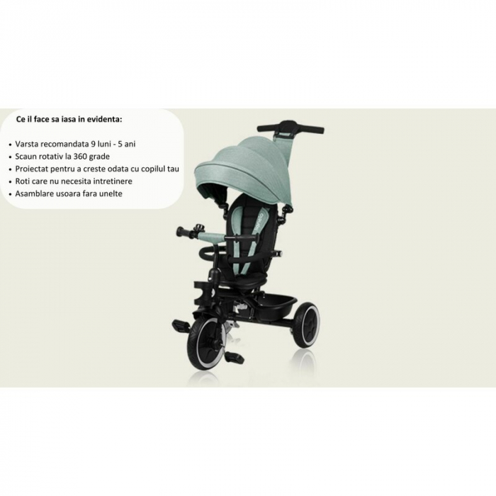 Tricicleta copii, Lionelo, Berry, 2 in 1, Multifunctionala, Scaun reversibil, Gri [33]