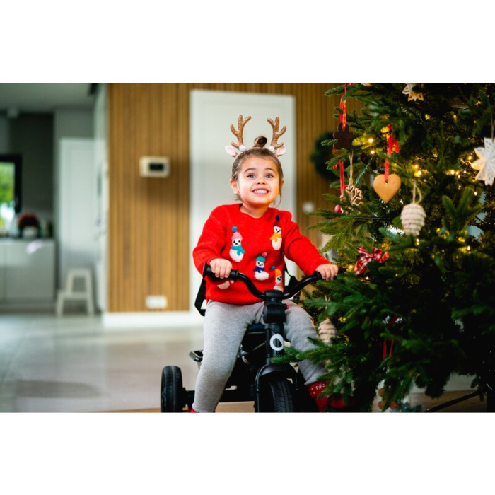 Tricicleta copii, Lionelo, Haari, Ultrapliabila, Multifunctionala, Suport picioare, Control al directiei, Scaun [50]