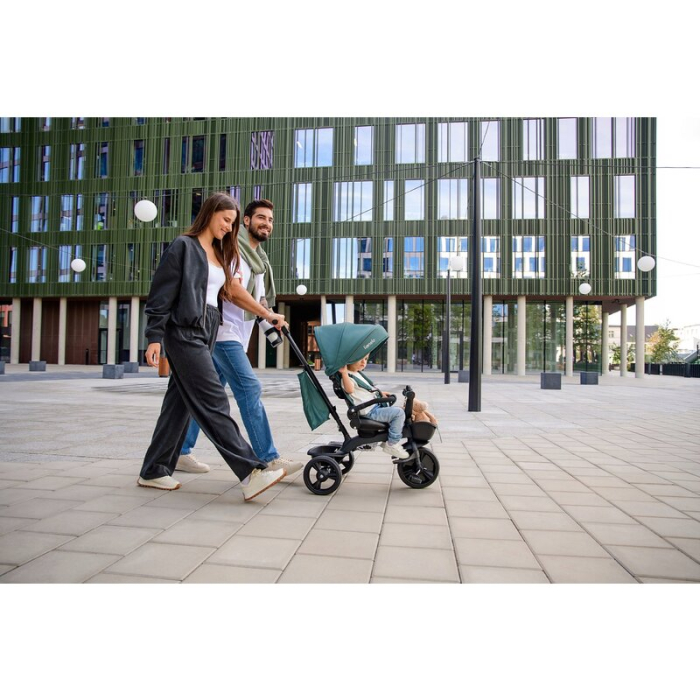 Tricicleta copii, Lionelo, Haari, Ultrapliabila, Multifunctionala, Suport picioare, Control al directiei, Scaun [59]