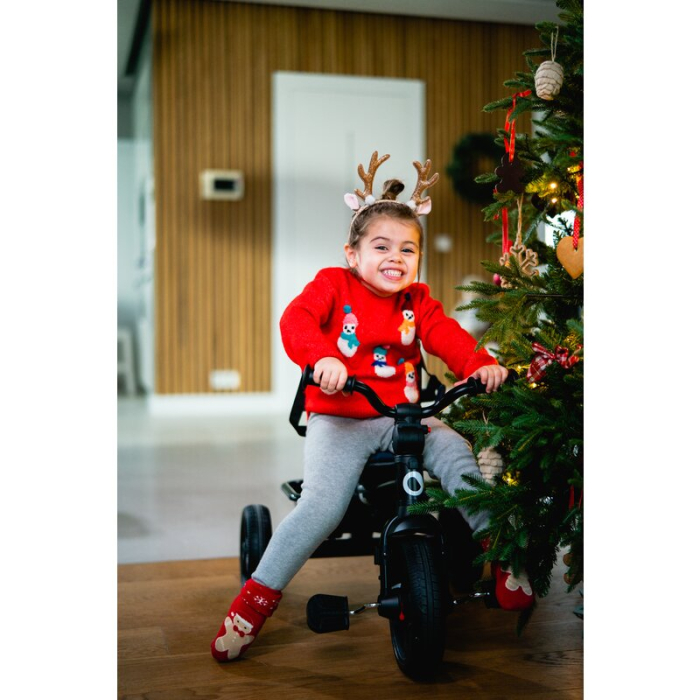 Tricicleta copii, Lionelo, Haari, Ultrapliabila, Multifunctionala, Suport picioare, Control al directiei, Scaun [51]