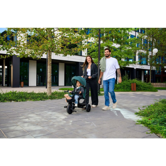 Tricicleta copii, Lionelo, Haari, Ultrapliabila, Multifunctionala, Suport picioare, Control al directiei, Scaun [58]