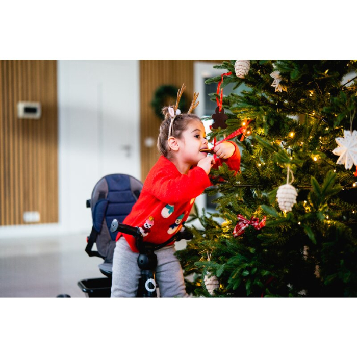 Tricicleta copii, Lionelo, Haari, Ultrapliabila, Multifunctionala, Suport picioare, Control al directiei, Scaun [52]