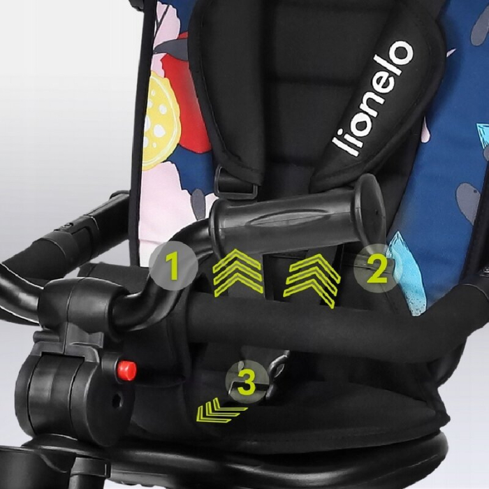 Tricicleta copii, Lionelo, Haari, Ultrapliabila, Multifunctionala, Suport picioare, Control al directiei, Scaun [35]