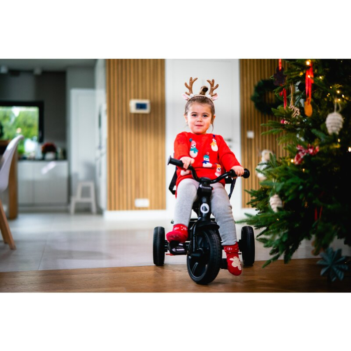 Tricicleta copii, Lionelo, Haari, Ultrapliabila, Multifunctionala, Suport picioare, Control al directiei, Scaun [53]