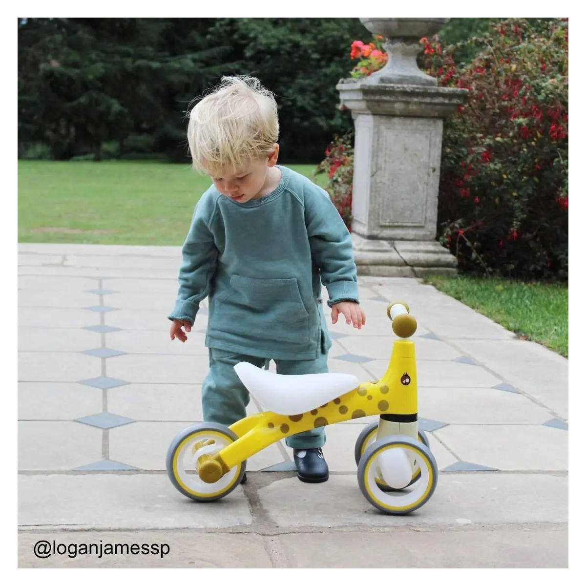 Tricicleta fara pedale - Zebra [4]