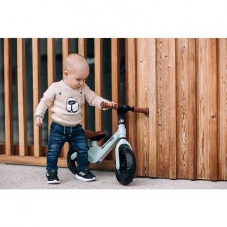 Bicicleta fara pedale, FreeON, Be Cool Mini, 12 luni+, Verde [3]