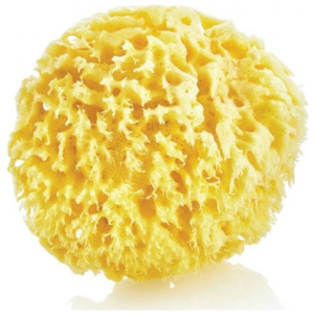 Accesorii pentru baita - Burete natural pentru bebelusi BabyJem Sea Sponge 0 luni+