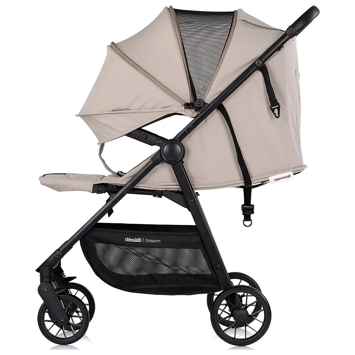 Carucior sport Chipolino Blossom latte [4]