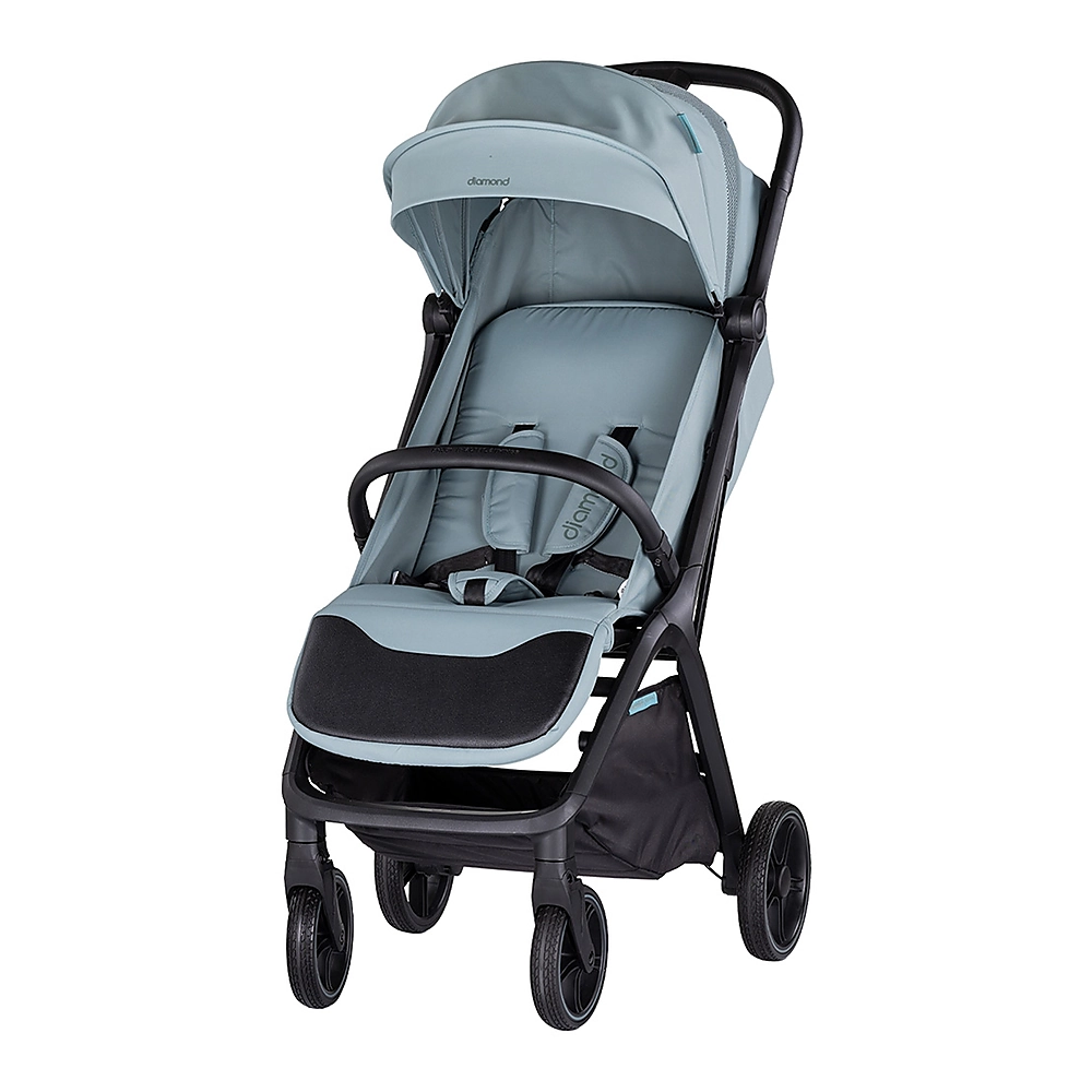 Carucior sport Chipolino Diamond Basil