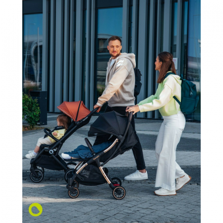 Carucior sport, Lionelo, Cloe, Cu accesorii, Pliere compacta pentru avion, cu o singura mana, 6 luni+, Gri [26]