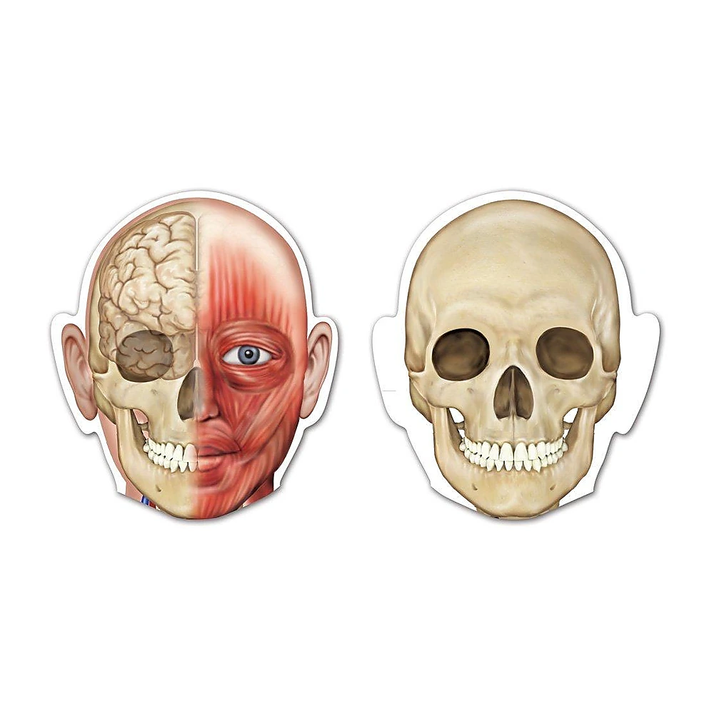 Corpul uman - set magnetic [3]