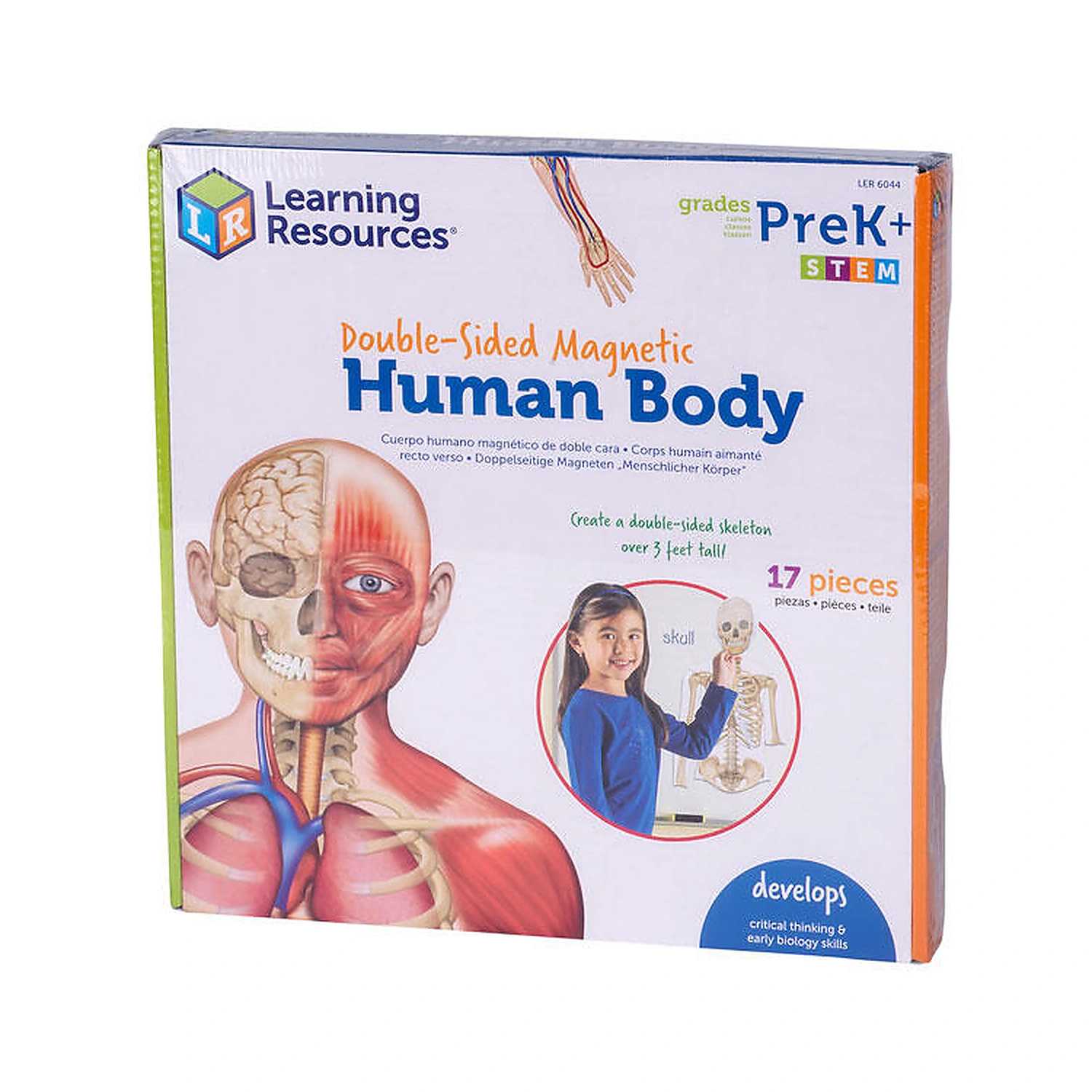 Jucarii - Corpul uman - set magnetic